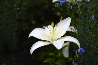 Similar image 22261669