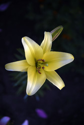 Similar image 22266146