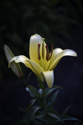 Similar image 22266147