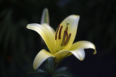 Similar image 22266148