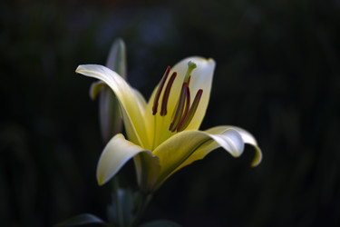 Similar image 22266149