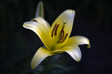 Similar image 22266150