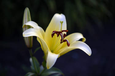 Similar image 22266152