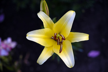 Similar image 22266153