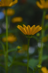 Similar image 22266155