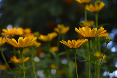 Similar image 22266156