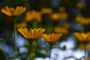 Similar image 22266157