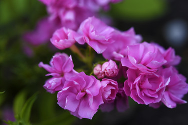 Similar image 22266158