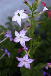 Similar image 22266160