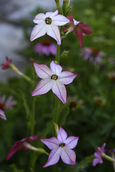 Similar image 22266161