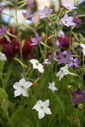 Similar image 22266163