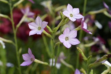 Similar image 22266164