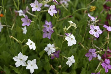 Similar image 22266166