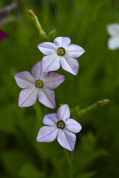 Similar image 22266167