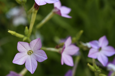 Similar image 22266169