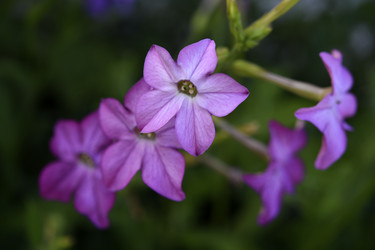 Similar image 22266170