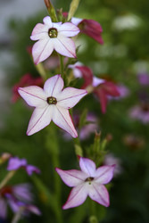 Similar image 22253989