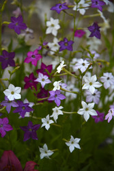 Similar image 22254090