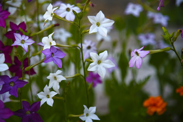 Similar image 22254092