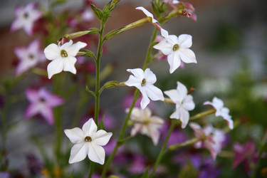 Similar image 22254094