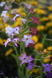 Similar image 22254095