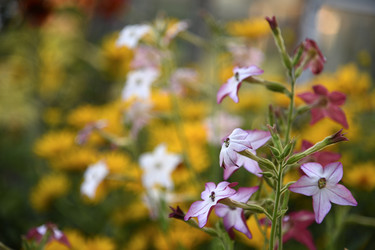 Similar image 22254096