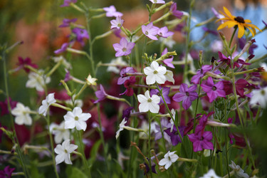 Similar image 22254098