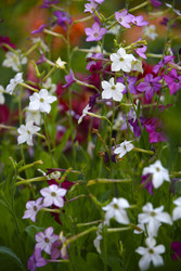 Similar image 22254099