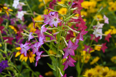 Similar image 22254100