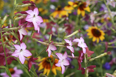 Similar image 22254102