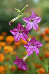 Similar image 22254104