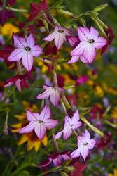 Similar image 22254105