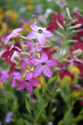 Similar image 22254106