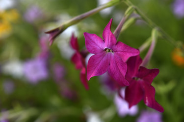 Similar image 22254107