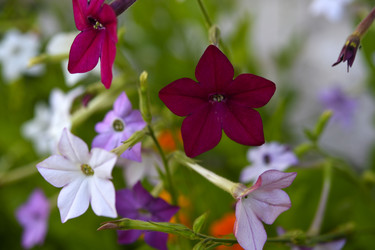 Similar image 22254108