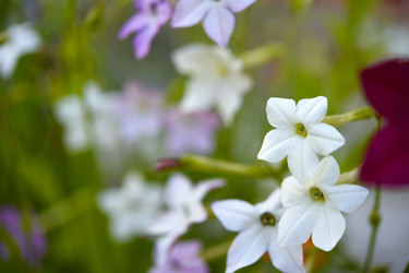 Similar image 22254111