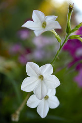 Similar image 22254113