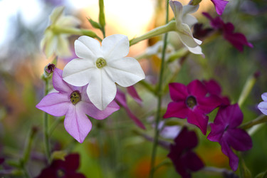 Similar image 22254114