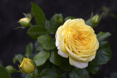 Similar image 22254117