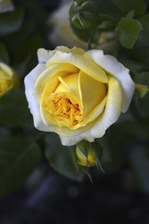 Similar image 22254118