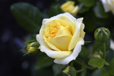 Similar image 22254119