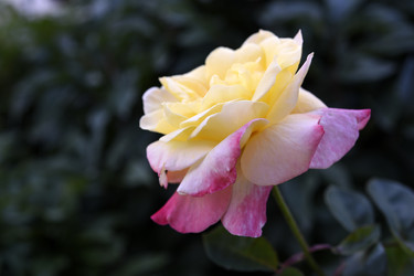 Similar image 22254120