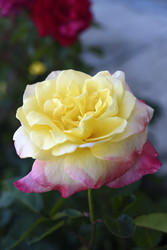 Similar image 22254121