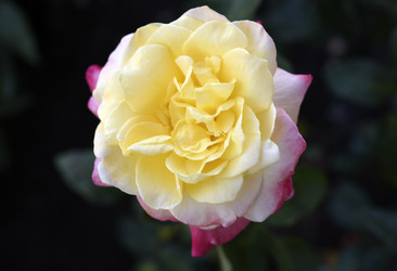 Similar image 22254123