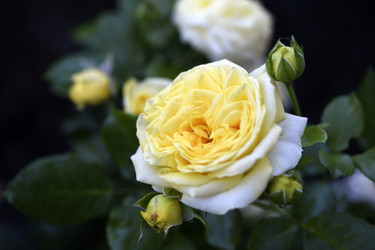 Similar image 22254125