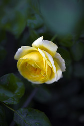 Similar image 22254126