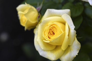 Similar image 22254127