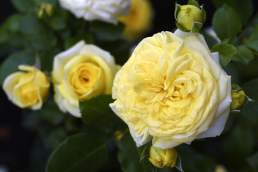 Similar image 22254128