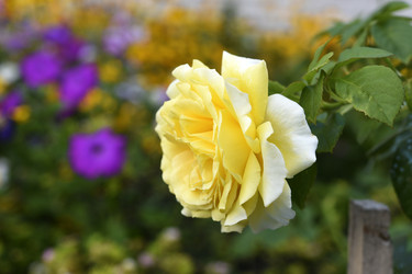 Similar image 22254130