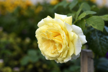 Similar image 22254131